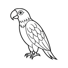 Black and White Illustration of a Parrot with Cartoon Features