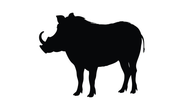 recommend clip art: Warthog silhouette, Wild pig vector, African animal icon, Warthog graphic illustration
