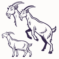 Three majestic goats, a proud leader leaping, a calm companion standing, and a playful kid gazing, depicted in elegant line art with a dark indigo hue.