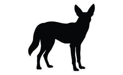 Jackal silhouette, Wild canine vector, Line art jackal illustration