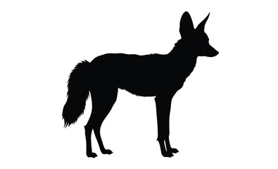 Jackal silhouette, Wild canine vector, Line art jackal illustration