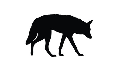 Jackal silhouette, Wild canine vector, Line art jackal illustration