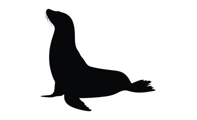 Sea lion silhouette, Marine animal vector, Ocean wildlife icon, Sea lion illustration