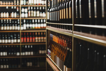 Well-Stocked Wine Cellar Shelves Lined With Diverse Bottles