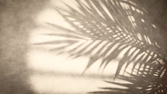 Tropical palm leaf shadow moving on a textured wall, creating a relaxing and natural ambiance. Loop animation