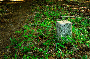 Obraz premium 御坂山地の十二ヶ岳 四等三角点（大久保山） 