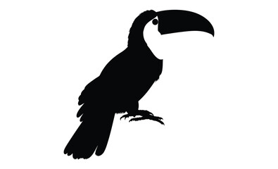 Toucan silhouette, Tropical bird icon, Toucan on white background