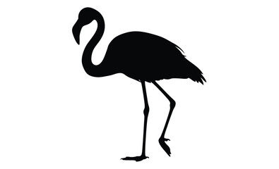 Flamingo silhouette, Flat bird vector, Tropical bird icon, Flamingo on white background