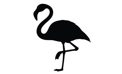 Flamingo silhouette, Flat bird vector, Tropical bird icon, Flamingo on white background