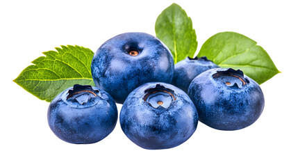 Fresh Blueberries with Leaves on White Background - Isolated Food Photography