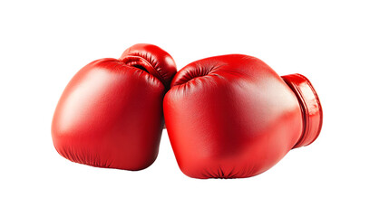 Professional Boxing Gloves Isolated on White Background for Sports Equipments Advertising