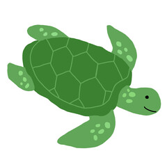 Green sea turtle illustration