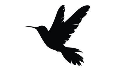 Flying hummingbird silhouette, Bird icon vector, Hummingbird on white background