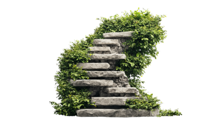 Png of Organic stone stairs adorned with lush green vines, illustrating nature's reclaiming of structure and harmony in design.