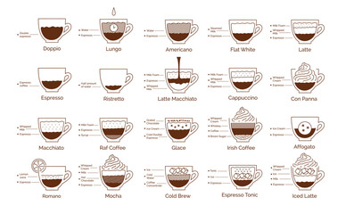 Vector line art illustration of coffee drink recipes infographic with espresso-based drinks and ingredient breakdown