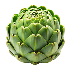 Obraz premium Fresh Green Artichoke
