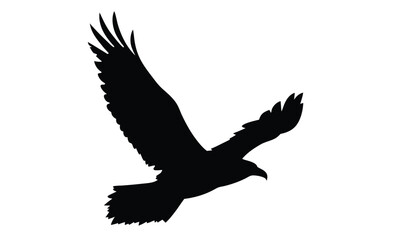 Eagle in flight silhouette, Bird vector icon, Soaring eagle graphic, Flying bird illustration