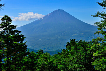 御坂山地の金山山頂から望む夏の富士山
