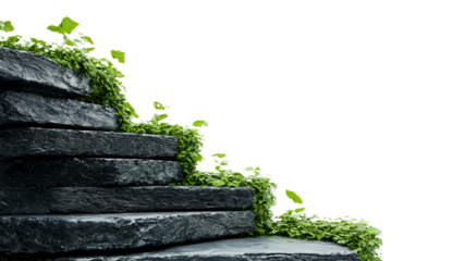 Png of A serene staircase covered with lush greenery, creating a peaceful and natural atmosphere.