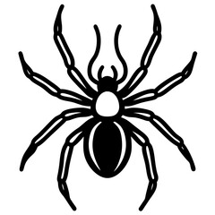 spider on a white background