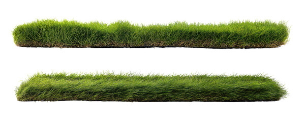 Obraz premium Lush green grass texture two rows isolated transparent background perfect for landscaping designs and compositions