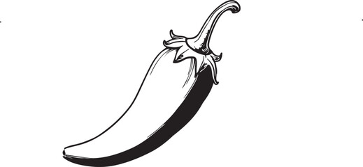 vector illustration of a chili pepper