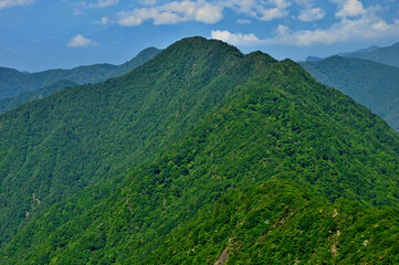 御坂山地の鬼ヶ岳山頂より望む夏の王岳

