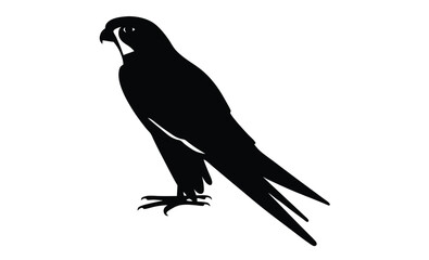 Falcon silhouette, Raptor vector icon, Wild bird illustration