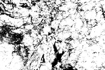 Fototapeta premium Abstract grunge black and white distressed texture background