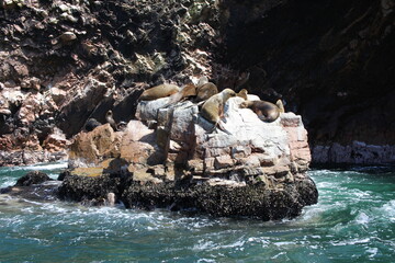 Otaries sur un rocher Îles Ballestas Voyage au Pérou Archipel Pisco Océan Pacifique Paysage Panorama