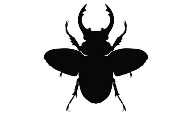 Beetle silhouette, Insect icon design, Black beetle graphic, Bug illustration on white background