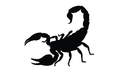 Scorpion silhouette vector, Walking scorpion icon, Insect illustration, Scorpion on white background