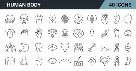 Human Body Line Editable Icons Set. Includes organs, body parts, and anatomy symbols. Vector illustration.