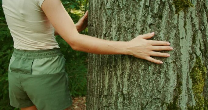 Person embracing and touching a mossy tree trunk during a quiet moment in the forest