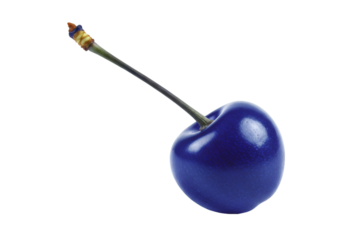 blue berry on white background