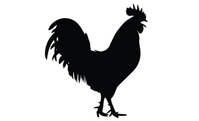 Rooster silhouette, Standing bird vector, Farm animal icon, Rooster on white background