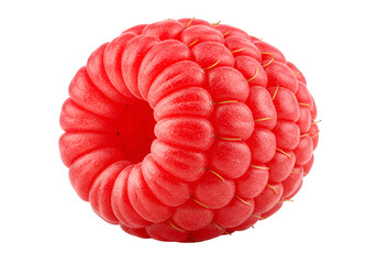 red berry on white background