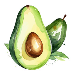 Watercolor hand drawn painting of a ripe avocado with seed and leaves isolated on white background.  Vector food illustration for table textile, kitchen decor and food design, packaging, food branding