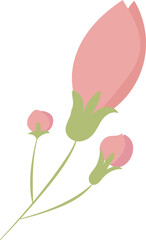 꽃
