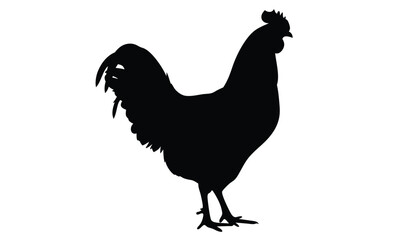 Chicken silhouette, Baby chick vector, Farm bird icon, Chicken on white background