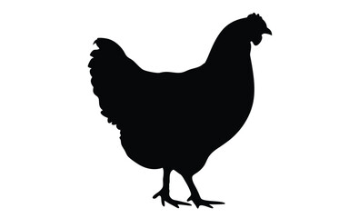 Chicken silhouette, Baby chick vector, Farm bird icon, Chicken on white background