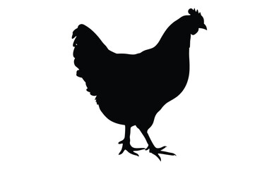 Chicken silhouette, Baby chick vector, Farm bird icon, Chicken on white background