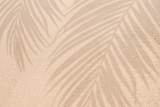 Sand texture background,Summer beach with tropical coconut palm leaf shadow on brown sand background. Nature background of Minimal sunlight over lay on sand dunes  for Summer holiday, vacation, travel