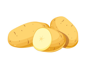 Fresh potatoes. Whole, cut in half potatoes. Raw vegetable. Vector illustration isolated on white background.