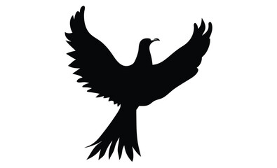 Obraz premium Phoenix silhouette, Fire bird vector, Mythical bird icon, Fenix illustration on white background