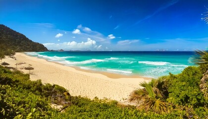 Beautiful tropical beach with palm trees, sunset beach seascape, design template for travel banner.