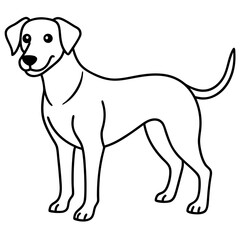 Abstract Dog Line Drawing