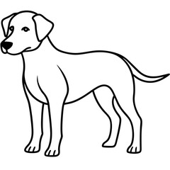 Abstract Dog Line Drawing
