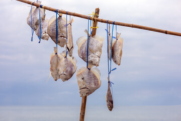 The dried fish old method of local fisherman in Thailand.