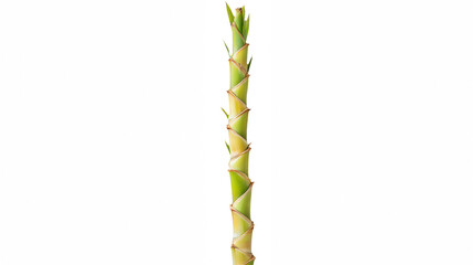 a stalk of green bamboo on a transparent background, PNG image, PNG file, Generative art.